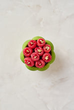 Load image into Gallery viewer, Pistachio Raspberry (D,G,N)
